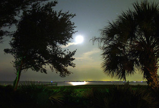 James Island - Charleston Harbor