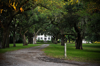 1031 Exchange in Charleston, SC