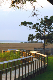Daniel Island Real Estate: Homes and Homesites for sale in charming neighborhoods