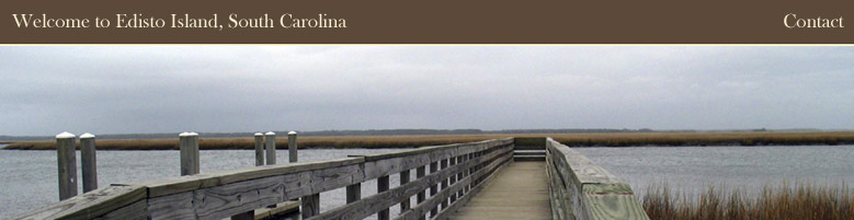 Edisto Island Real Estate Guide