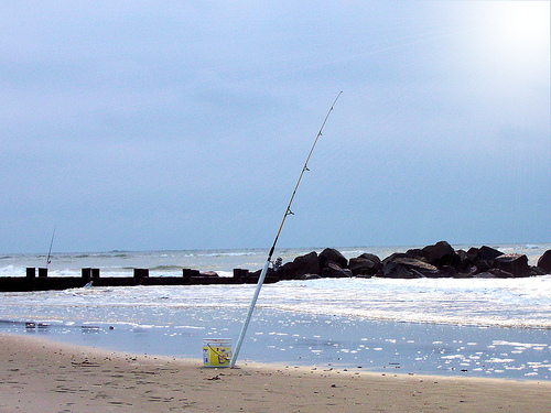 Folly Beach SC Real Estate Beach Properties Homes Condos And Villas Folly Beach SC Real Estate Beach Properties Homes Condos And Villas