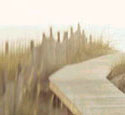 Sullivan's Island Beaches