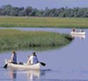 Waterfront real estate in Charleston South Carolina