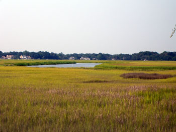 James Island Real Estate