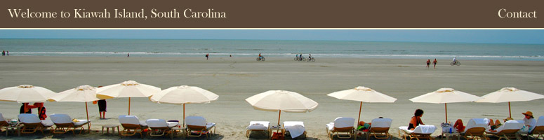 Kiawah Island Real Estate Resort Guide