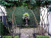 historic home in downtown charleston,sc