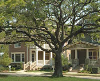 Longborough Development