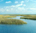 intracaostal waterway