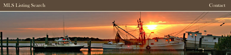 Charleston MLS Listings and Real Estate
