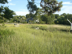Mount Pleasant homes for sale
