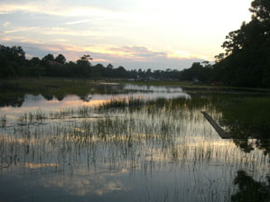 Molasses Creek