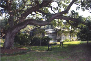 The Old Village - Mount Pleasant SC neighborhood