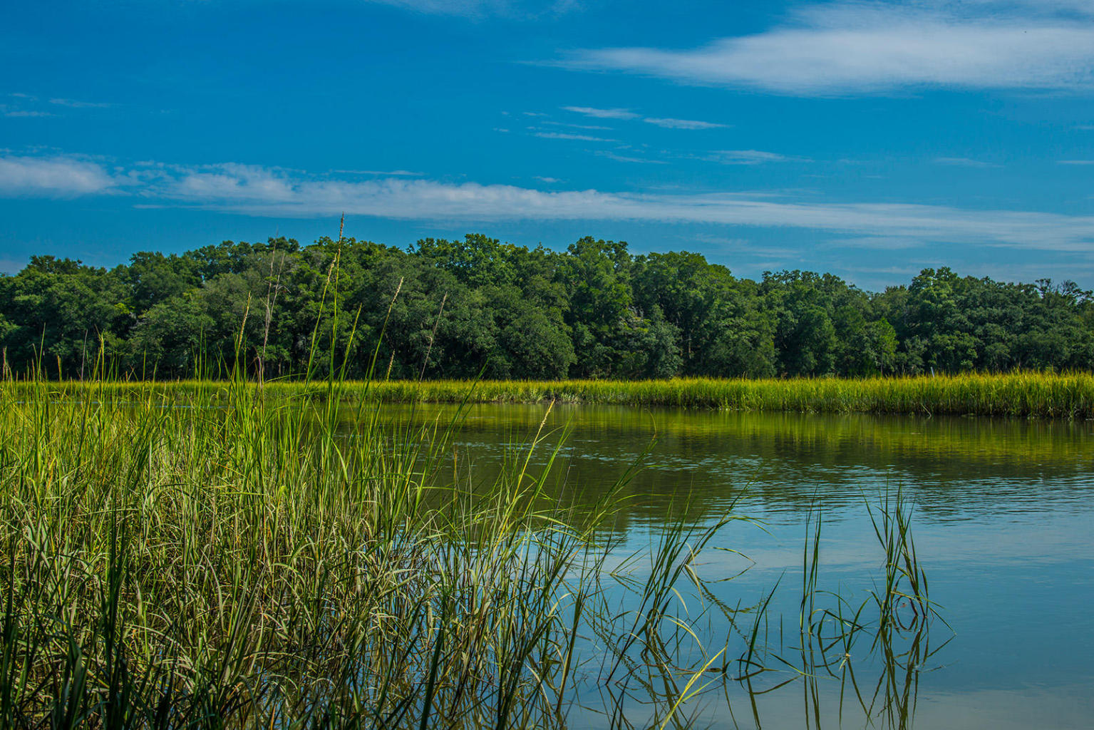Charleston Waterfront Property Waterfront real estate for sale in