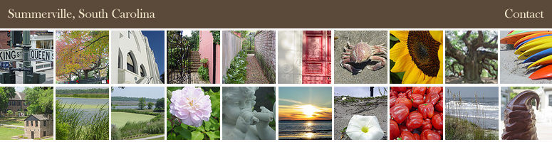 Summerville SC Real Estate - homes and charming neighborhoods in Mt. Pleasant, South Carolina