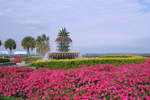 Charleston Waterfront Park