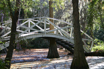 West Ashley Real Estate