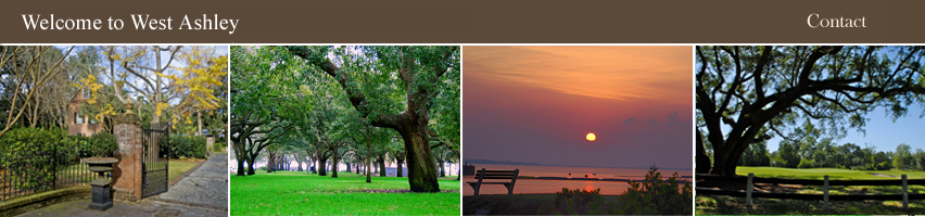 Charleston Real Estate and homes for sale guide