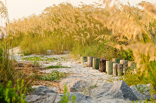 beach path