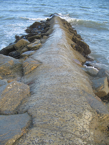 Charleston beaches