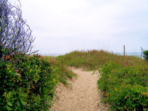 Folly Beach path
