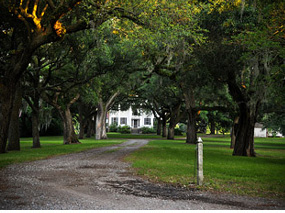 Schools in Charleston, SC