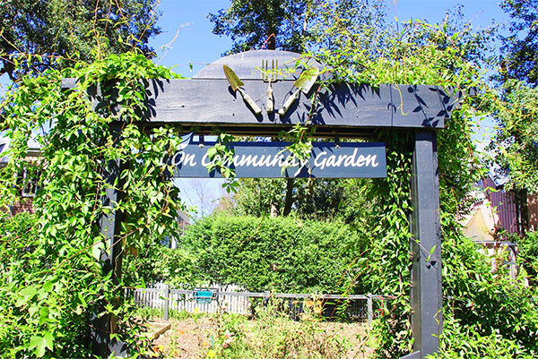 Ion Village Community Garden