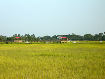 James Island Waterfront Real Estate