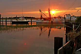 Folly Beach Real Estate